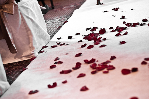 4029867672_098e923ab6