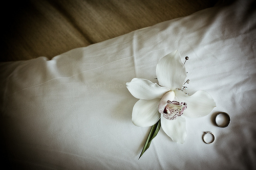 6046626809_4808bedebd